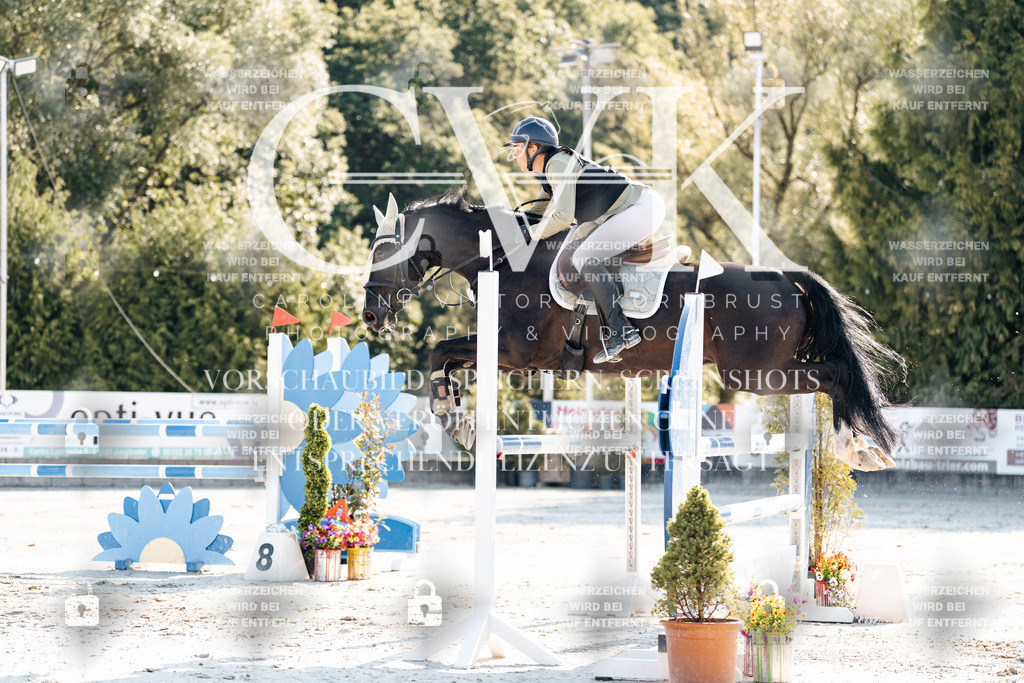 CK901656 | Turnierfotografie Pferdefotografie Trier Rheinland-Pfalz Pferdesport Reitsport Tierfotografie Sportfotografie Pferdevideo Pferdevideografie Equestrianvideography equestrianphotography  - Realisiert mit Pictrs.com