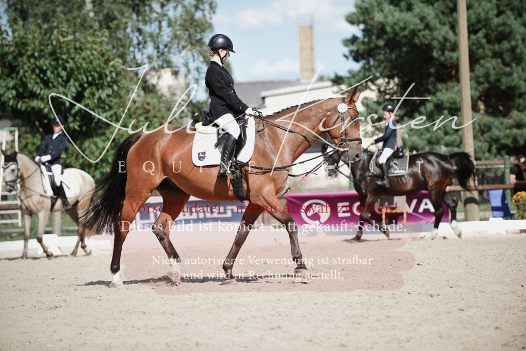 DSC_9934 | Pferde- und Turnierfotografie in Westsachsen. Pferdeportraits, Auftragszeichnungen und intuitive Kunst.
