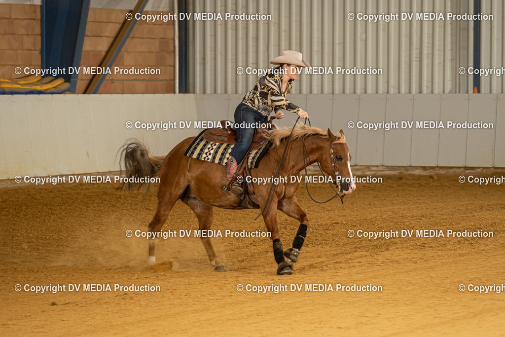 MIT00134 | dv-media-shop - Realisiert mit Pictrs.com