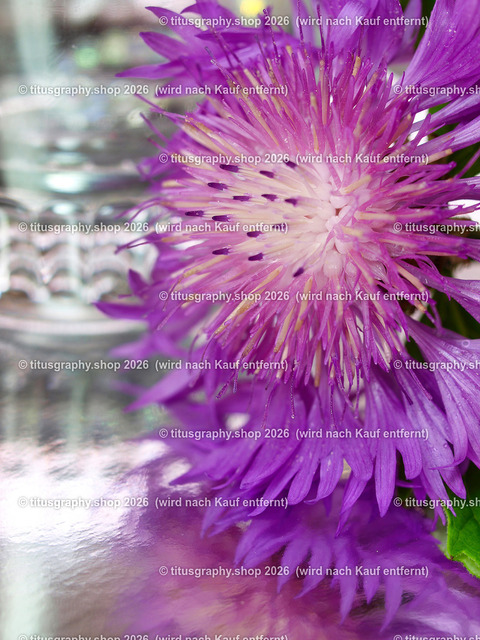 titusgraphy_P6258227-vz-ln | titusgraphy-shop: Geschenkideen mit Qualitätsfotos. titusgraphy-shop: gift ideas with quality photos. titusgraphy-shop: idées cadeaux avec photos de qualité.  - Realisiert mit Pictrs.com