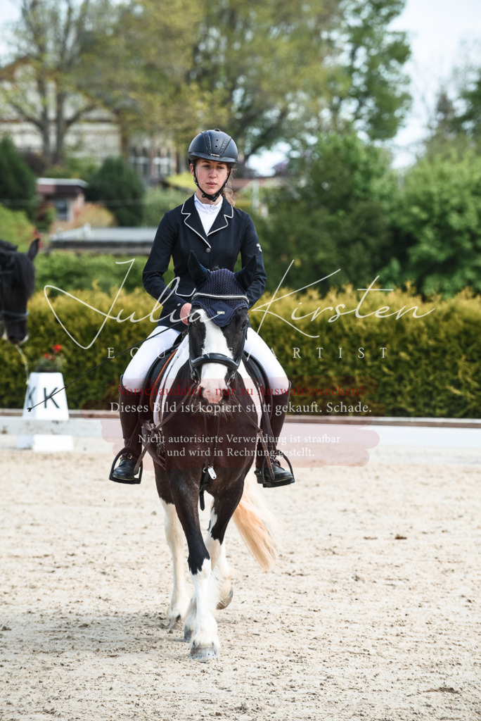 20230518_JK-Röhrsdorf-11-0300 | Pferde- und Turnierfotografie in Westsachsen. Pferdeportraits, Auftragszeichnungen und intuitive Kunst.