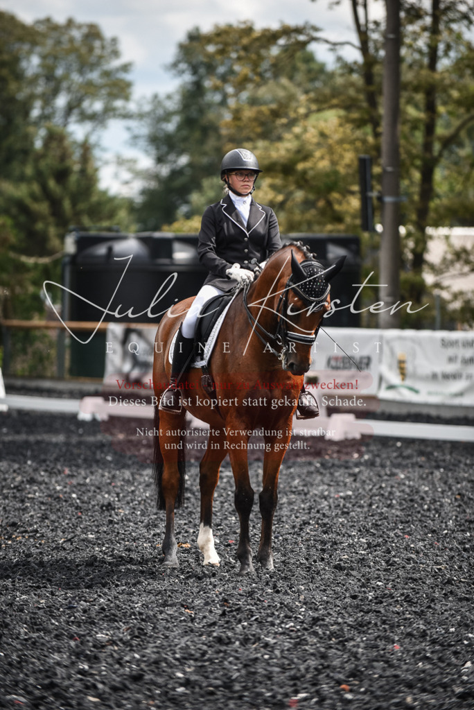 DSC_4972 | Pferde- und Turnierfotografie in Westsachsen. Pferdeportraits, Auftragszeichnungen und intuitive Kunst.