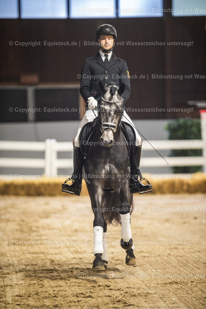 20240302_Hengstvorstellung_Marbach_TOMsPiC_0170 | equistock