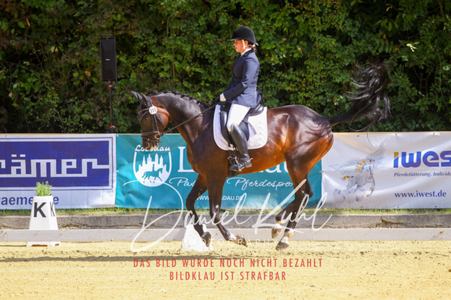 DKP41893 | Turniersportfotografie; Pferdefotografie; Dressurfotografie