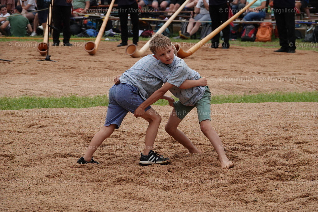 DSC01290 | Schwingen - Realisiert mit Pictrs.com