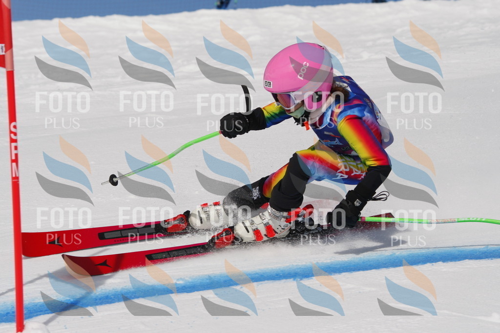 _W1G0144 | holidayphoto