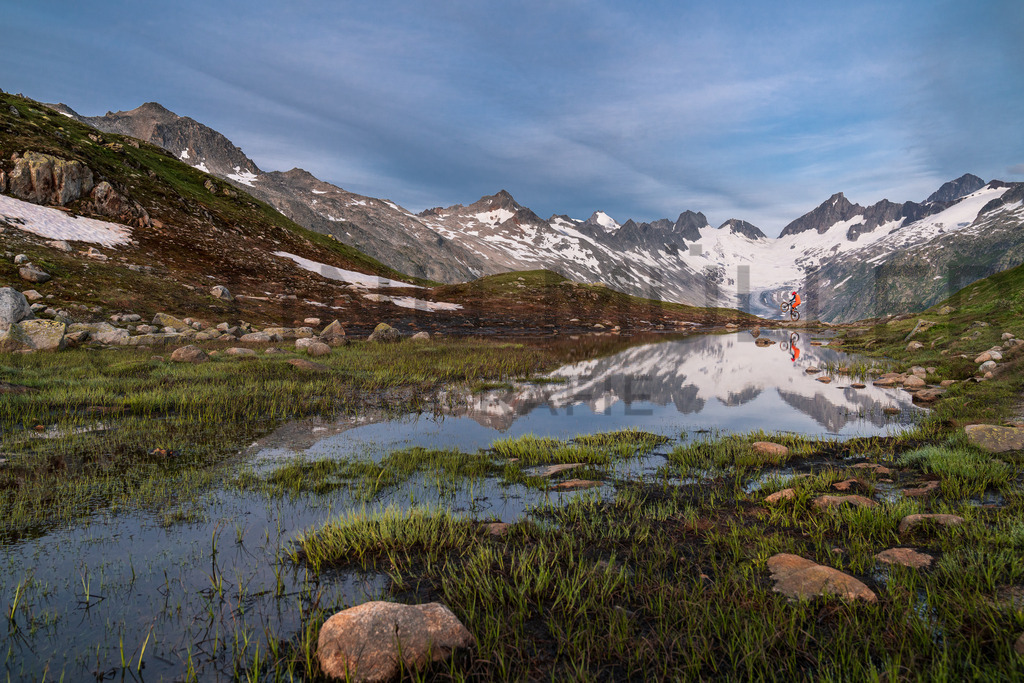 DSC03990 | Tinu Müller Fotografie- Bildershop - Realisiert mit Pictrs.com