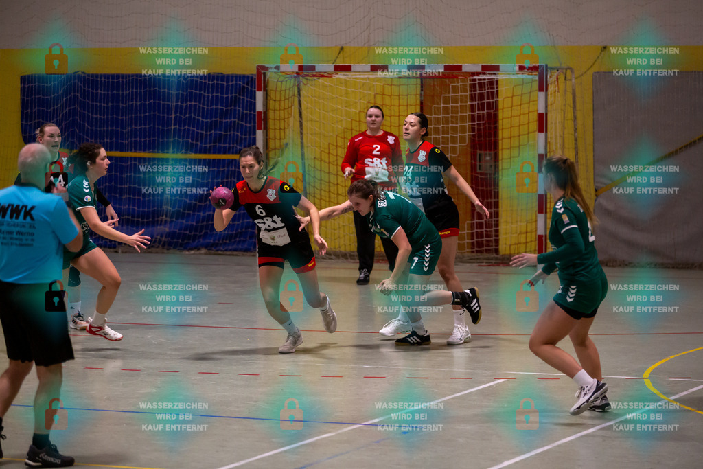 _HP_7036_3000o | TV Welling Damen vs. HSG ObereNahe 04.02.2024