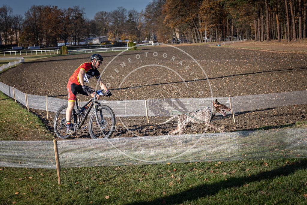 CaniXpix_DV3A2885 | Hundefotografie, Tierfotograf, Pfotenfotografie, Fotoshooting Hund, Hunde Portrait, Hundesport, Hundeportraits, Heideshooting, Hunde, Sportfotograf, Hundefotograf, Turnierhundsport, THS,  - Realisiert mit Pictrs.com