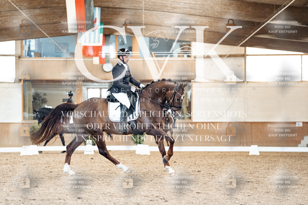 CK909434 | Turnierfotografie Pferdefotografie Trier Rheinland-Pfalz Pferdesport Reitsport Tierfotografie Sportfotografie Pferdevideo Pferdevideografie Equestrianvideography equestrianphotography  - Realized with Pictrs.com