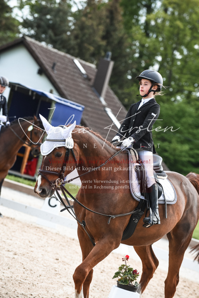 20230518_JK-Röhrsdorf-11-0829 | Pferde- und Turnierfotografie in Westsachsen. Pferdeportraits, Auftragszeichnungen und intuitive Kunst.