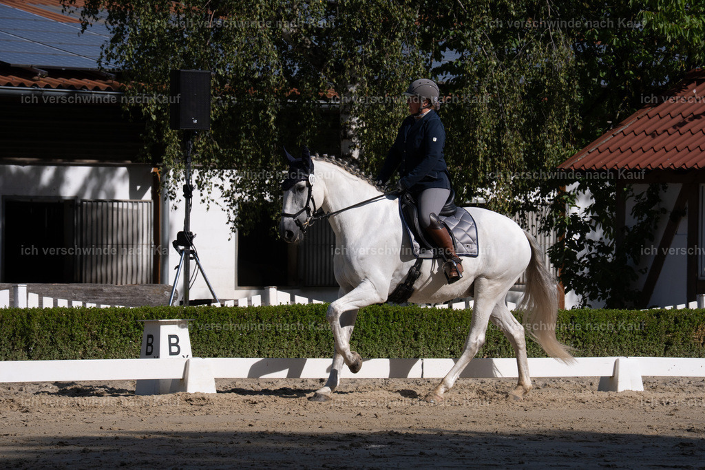 WL_DR_47_sinafilmart_IN06222 | working equitationturnier fotograf videograf stoibphotography marixx film working equitation deutschland reitsport turnierfotografie eventfotografie equestrian events