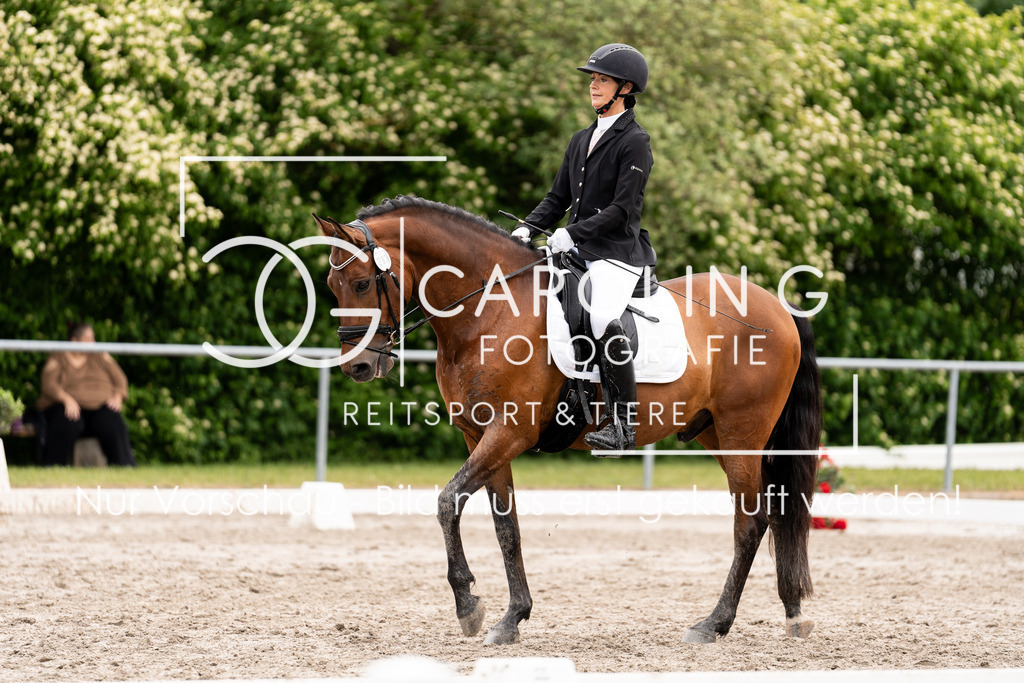 DSC07940 | Carolin Gieschke