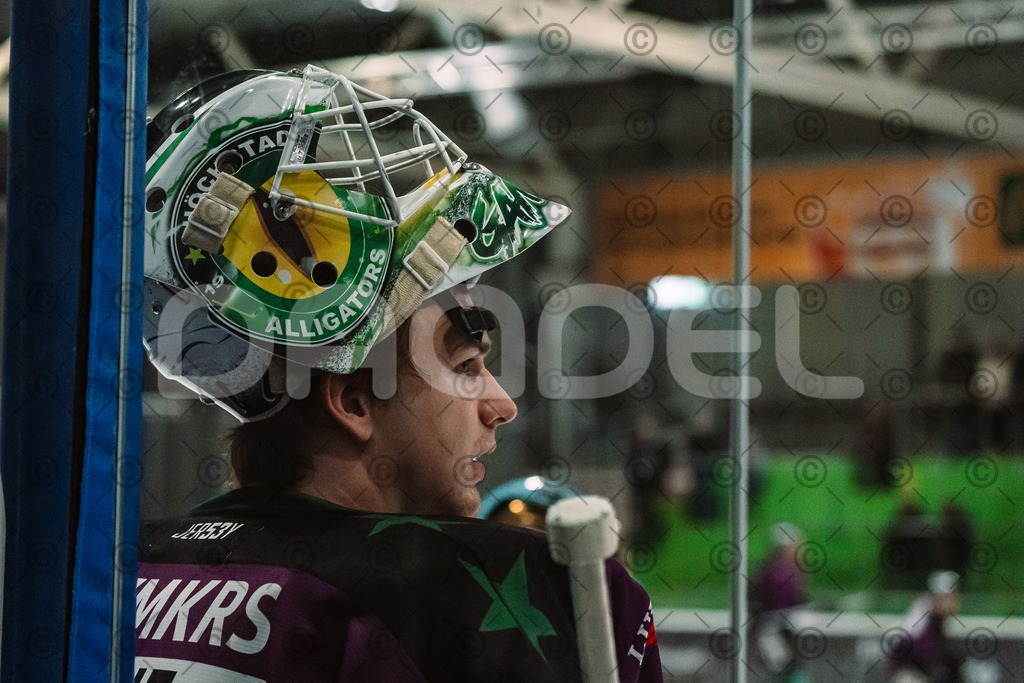 Alligators_vs_Erding_12_12_2025-020 | Höchstadt Alligators Fotogalerie: Eishockey-Action aus Franken. Professionelle Spielfotos, Portraits & Stadionbilder zum Download. Jetzt entdecken! - Realisiert mit Pictrs.com