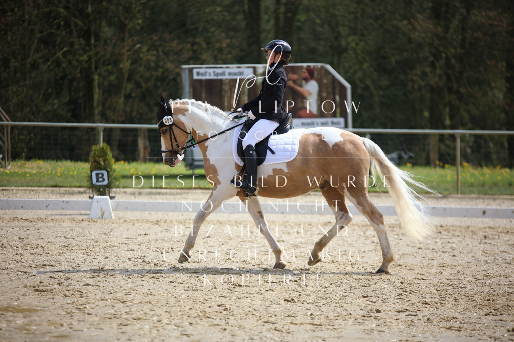 IMGT4194 | pl-fotografie