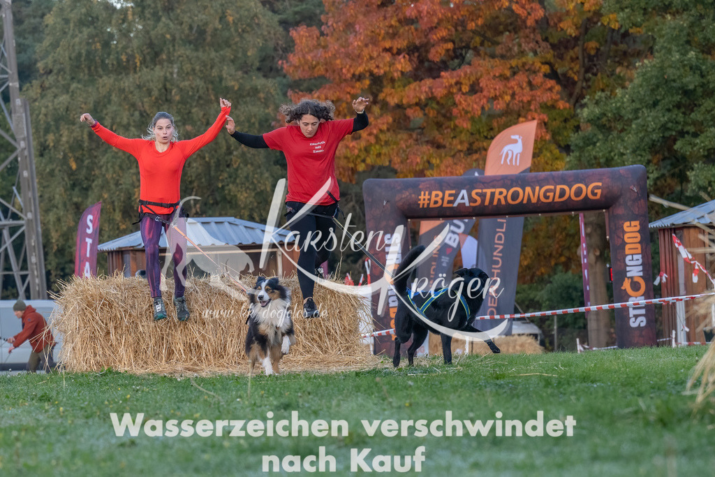 0835_ZZ90838-Bearbeitet | kk-dogfotos