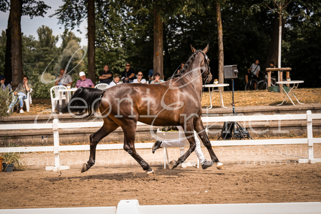 3.Fr00056 | Leoni Ertmer Photography - Realisiert mit Pictrs.com