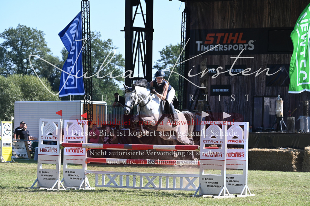 DSC_6358 | Pferde- und Turnierfotografie in Westsachsen. Pferdeportraits, Auftragszeichnungen und intuitive Kunst.