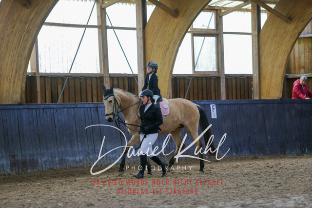 IMG_1253 | Turniersportfotografie; Pferdefotografie; Dressurfotografie