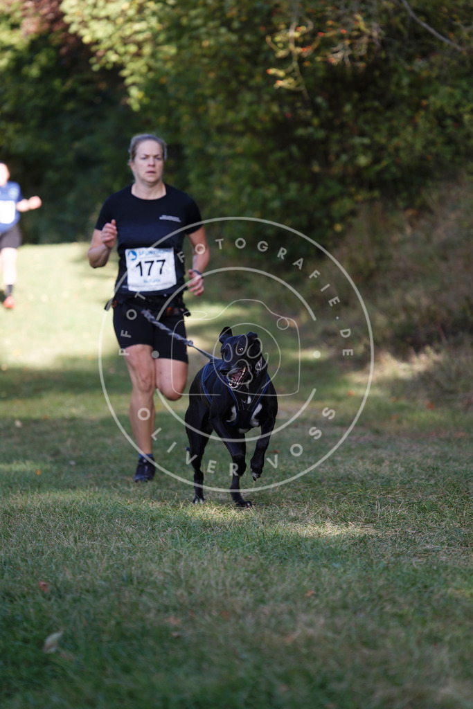 0L8A5521 | Hundefotografie, Tierfotograf, Pfotenfotografie, Fotoshooting Hund, Hunde Portrait, Hundesport, Hundeportraits, Heideshooting, Hunde, Sportfotograf, Hundefotograf, Turnierhundsport, THS,  - Realisiert mit Pictrs.com