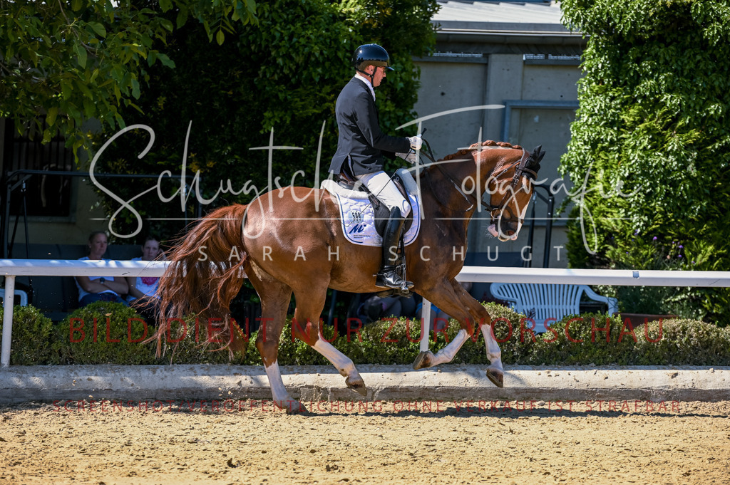 Schugtsche-Aluta25-50.Dressurpferdeprf.L-15 | Schugtsche Fotografie - Realisiert mit Pictrs.com