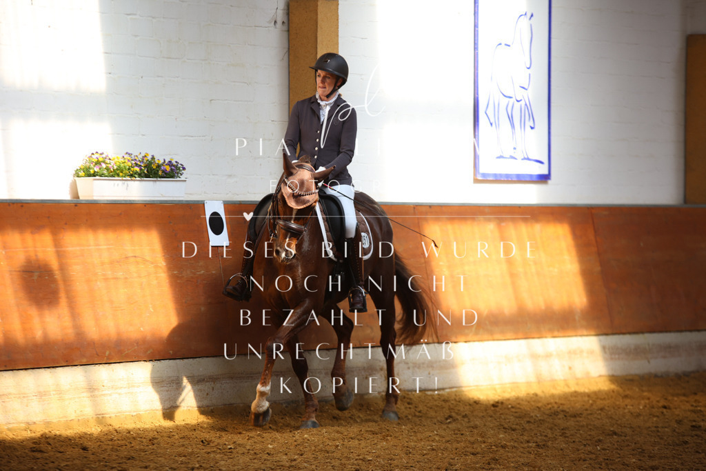 IMGT8347 | pl-fotografie