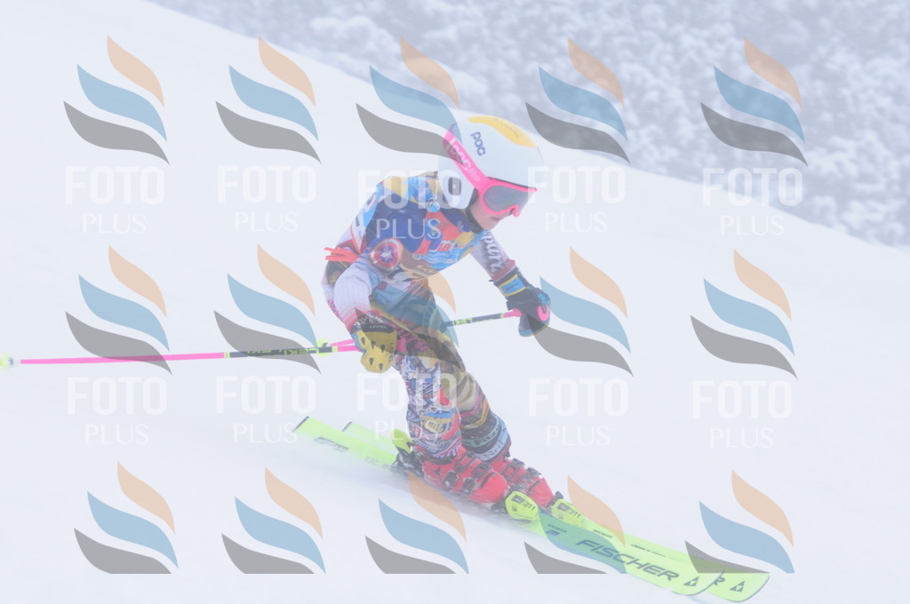 C2038 | holidayphoto