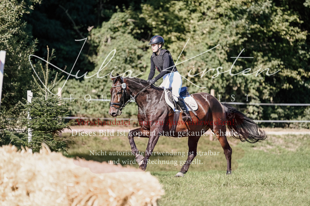 DSC_3424 | Pferde- und Turnierfotografie in Westsachsen. Pferdeportraits, Auftragszeichnungen und intuitive Kunst.