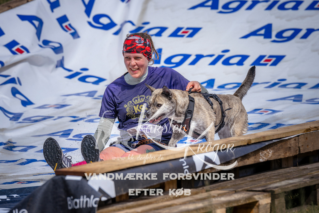 _ZZ906830907 | kk-dogfotos