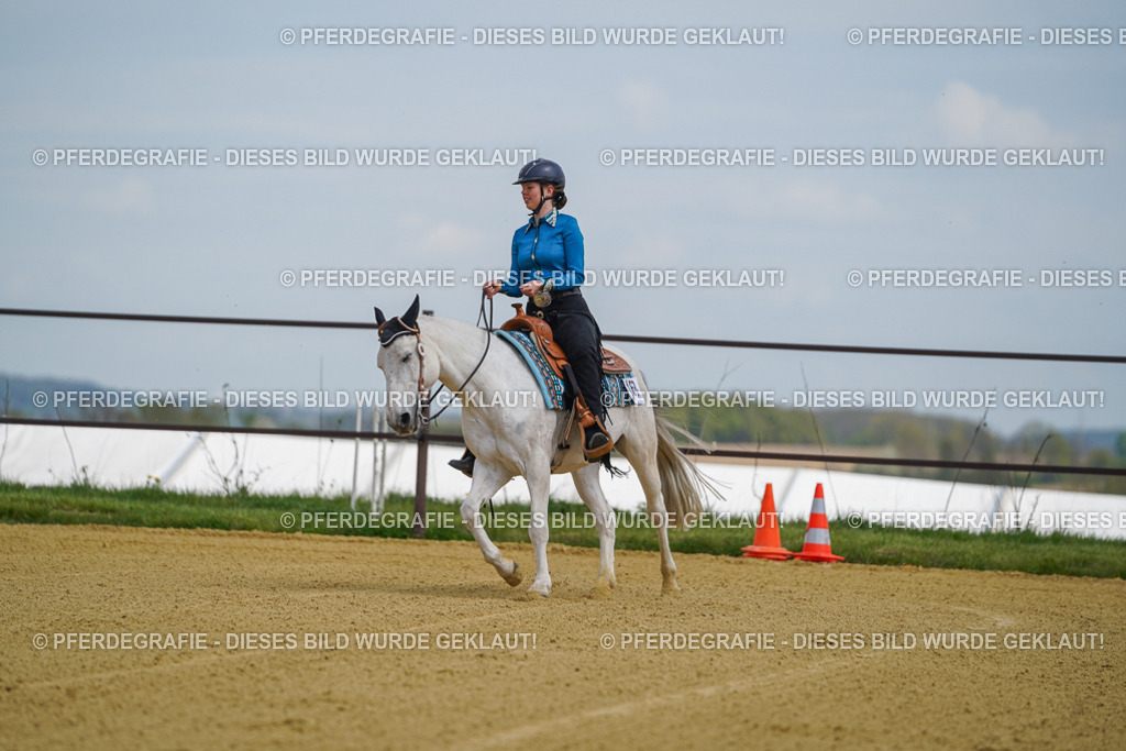 DSC05515 | Pferdegrafie