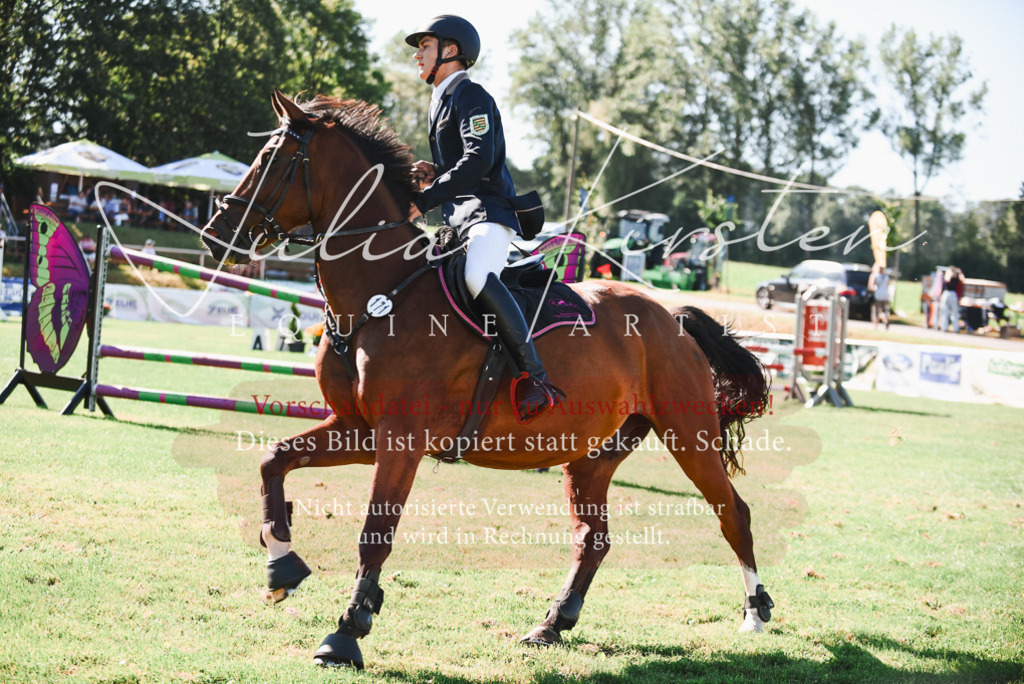 DSC_2497 | Pferde- und Turnierfotografie in Westsachsen. Pferdeportraits, Auftragszeichnungen und intuitive Kunst.