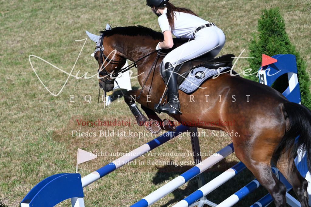 DSC_2051 | Pferde- und Turnierfotografie in Westsachsen. Pferdeportraits, Auftragszeichnungen und intuitive Kunst.