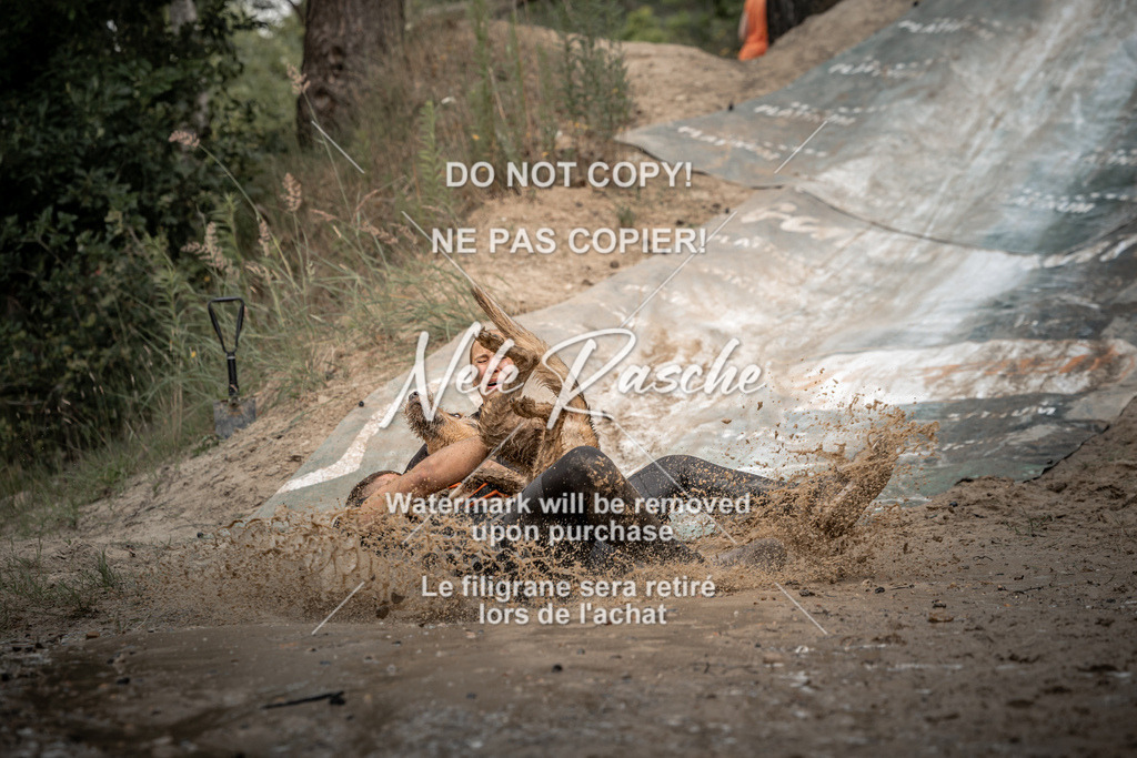 nelerasche_sa1500-1530_169 | nelerasche