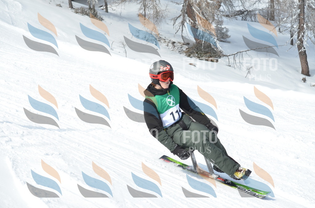 D9255 | holidayphoto