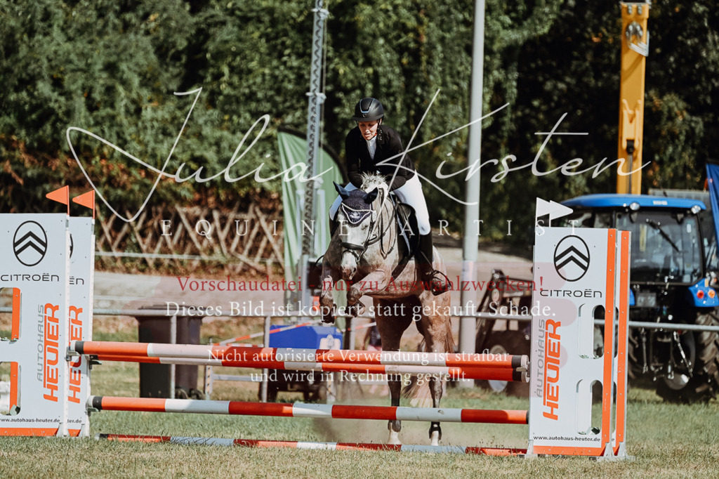 DSC_9483 | Pferde- und Turnierfotografie in Westsachsen. Pferdeportraits, Auftragszeichnungen und intuitive Kunst.