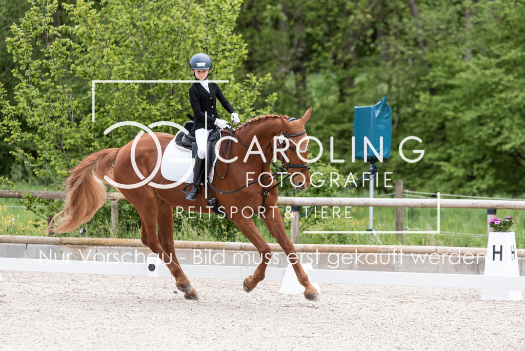 DSC_6579 | Turnierfotografin Carolin Gieschke, Turnierfotografie Carolin G Fotografie, Turnierfotos Kirchheim/Teck, Esslingen, Stuttgart, Bodenseekreis