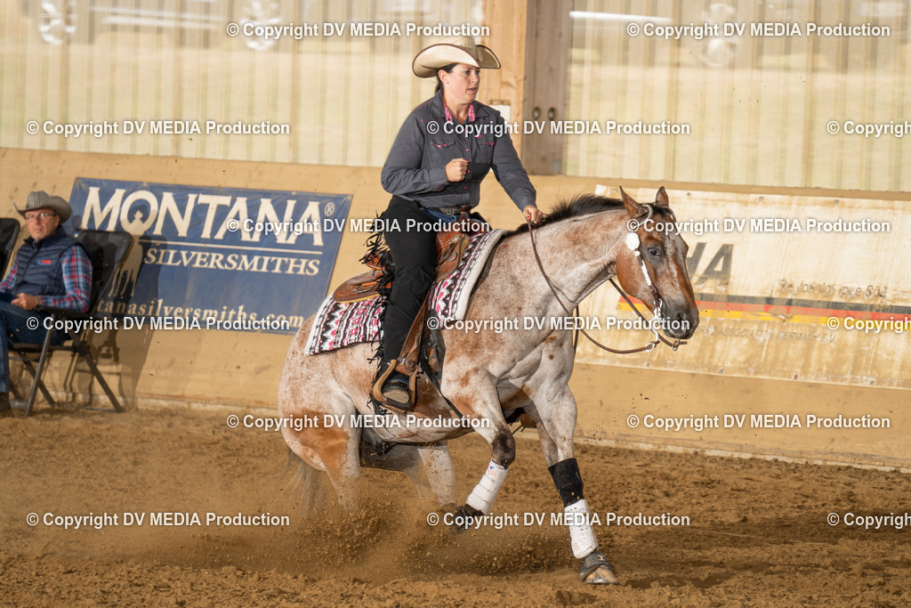 LAU01572 | dv-media-shop - Realisiert mit Pictrs.com