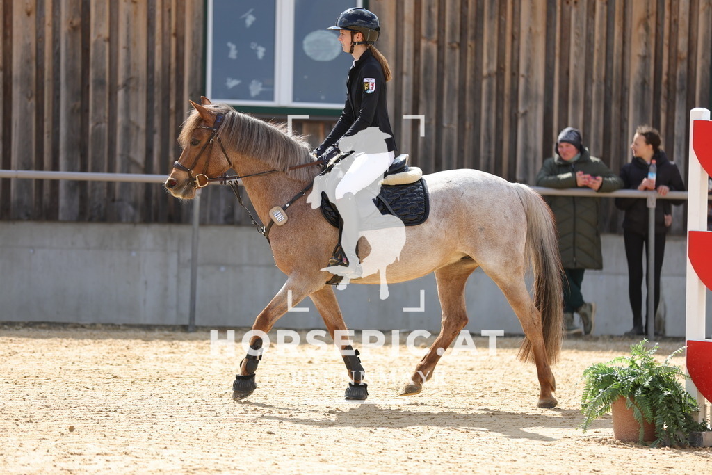 0P6A7745 | Willkommen bei Brunnmayr - Design & Fotografie – Ihrem Spezialisten für Reitturniere und Pferdeveranstaltungen in Oberösterreich, Salzburg und Bayern! Seit über 17 Jahren sind wir leidenschaftlich dabei.