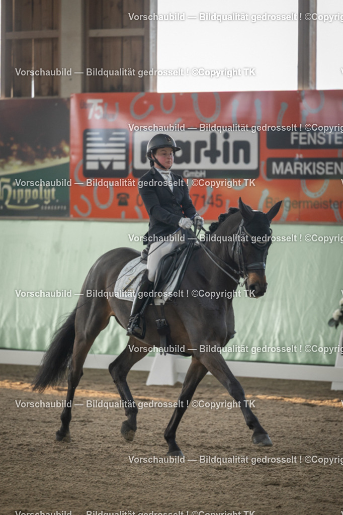 _D5A4071 | Emotionale Pferde- & People-Fotografie rund um Heidelberg, Leimen & Umgebung. Natürliche Fotos von Pferd, Mensch & Familie. Jetzt Termin sichern!