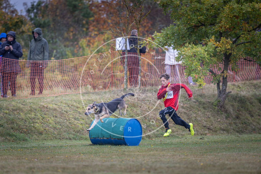 Pfotenfotografie_DV3A0576 | Hundefotografie, Tierfotograf, Pfotenfotografie, Fotoshooting Hund, Hunde Portrait, Hundesport, Hundeportraits, Heideshooting, Hunde, Sportfotograf, Hundefotograf, Turnierhundsport, THS,  - Realisiert mit Pictrs.com