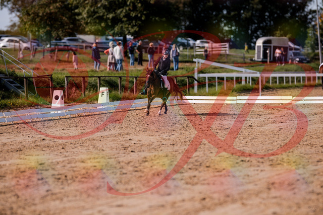 2026_10_03_Siefer-Hof_122249_Z81_22304371 | Professionelle Reitsport-, Turnier- und Eventfotografie von Robert Broda. Galerien mit ausgewählten und bearbeiteten Bildern direkt online ansehen und bestellen.