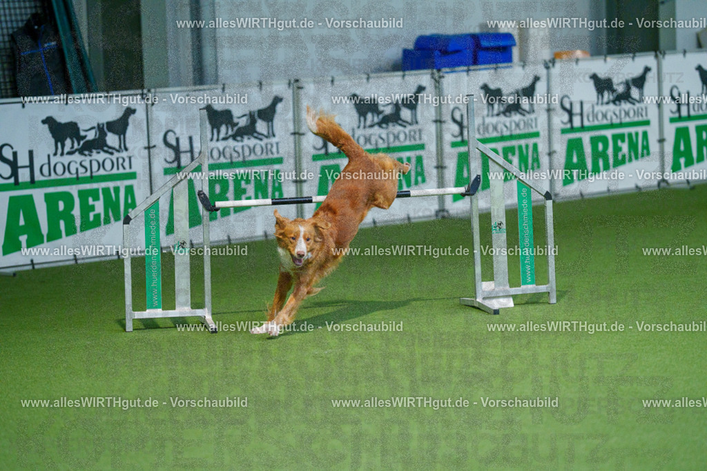 @allesWIRTHgut_Tierfotografie - www.allesWIRTHgut.de - 2604250946-7R508922 | Professionelle Tierfotografie in Mönchengladbach von Daniel Wirth (allesWIRTHgut). Liebevolle & natürliche Bilder von Hunden & Katzen für unvergessliche Erinnerungen.
