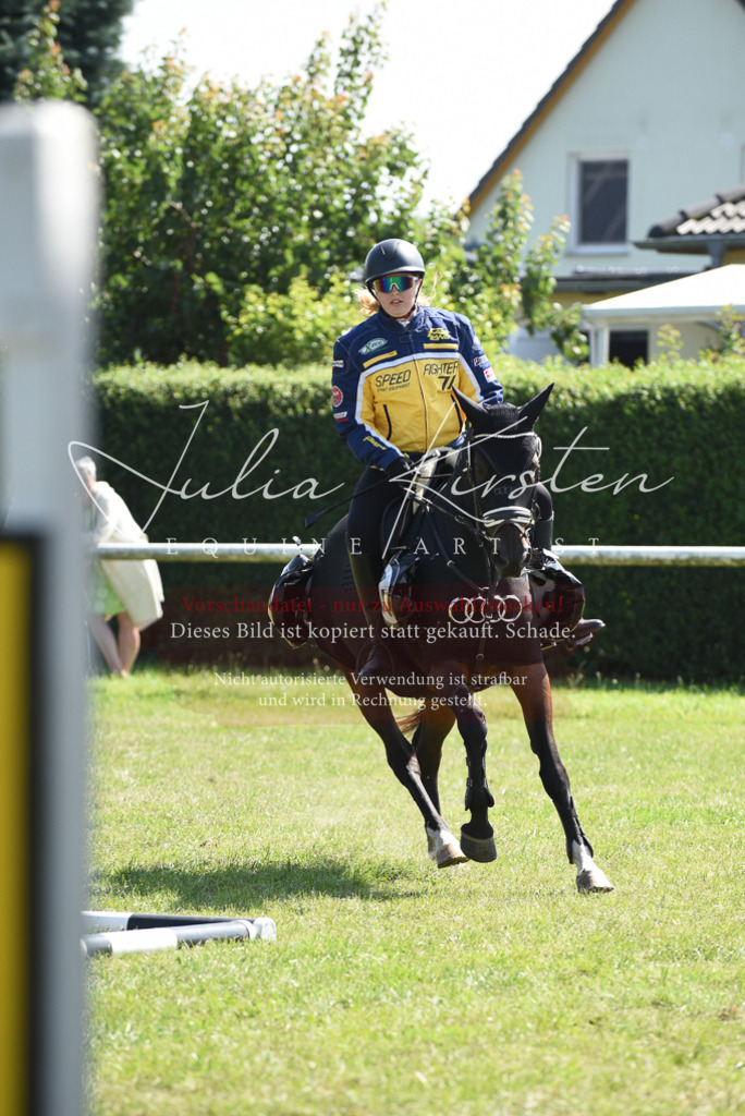 DSC_0391 | Pferde- und Turnierfotografie in Westsachsen. Pferdeportraits, Auftragszeichnungen und intuitive Kunst.