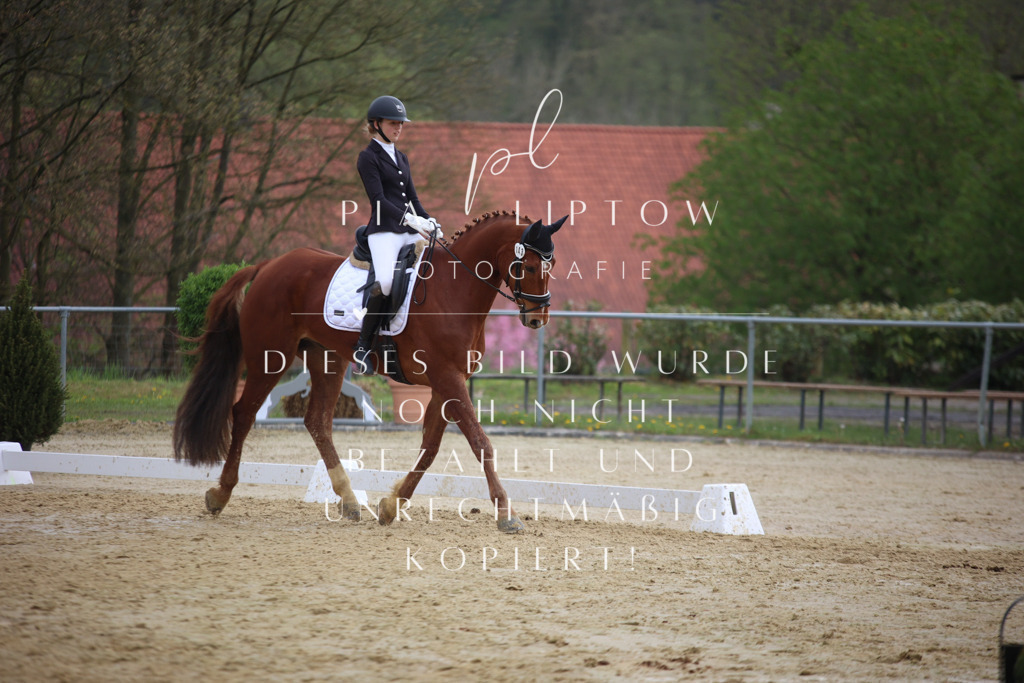 IMGT7289 | pl-fotografie