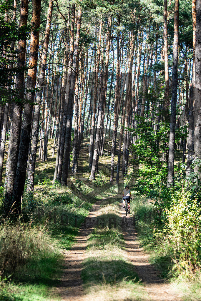 DKP-5790 | Drew Kaplan Photography