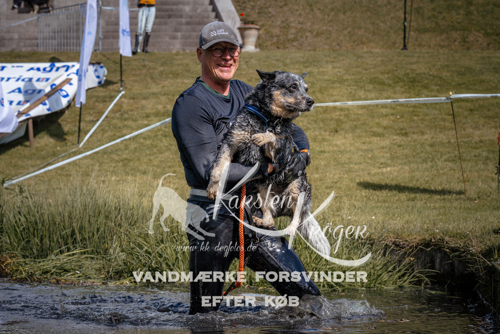 _ZZ927400929 | kk-dogfotos