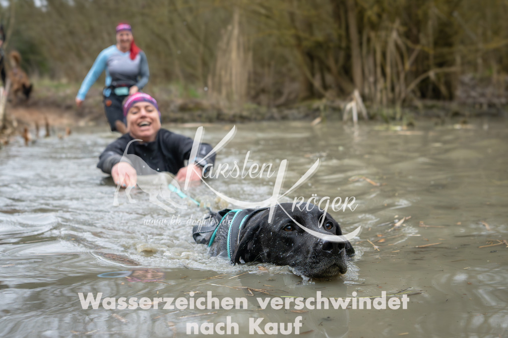 1340_ZZ91553 | kk-dogfotos