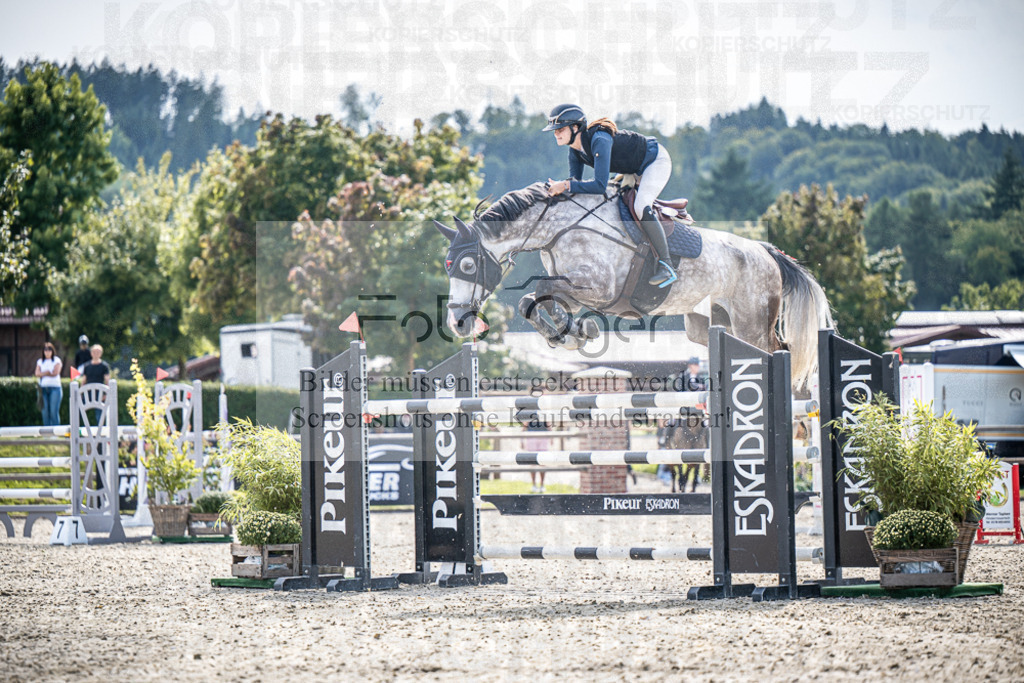 DOS_0686 | Entdecke hochwertige Reitturnierfotos von Foto Oger. Professionell, emotional und authentisch – jetzt Lieblingsmomente im Shop bestellen.Deutschlandweite Turnierfotografie. - Realisiert mit Pictrs.com