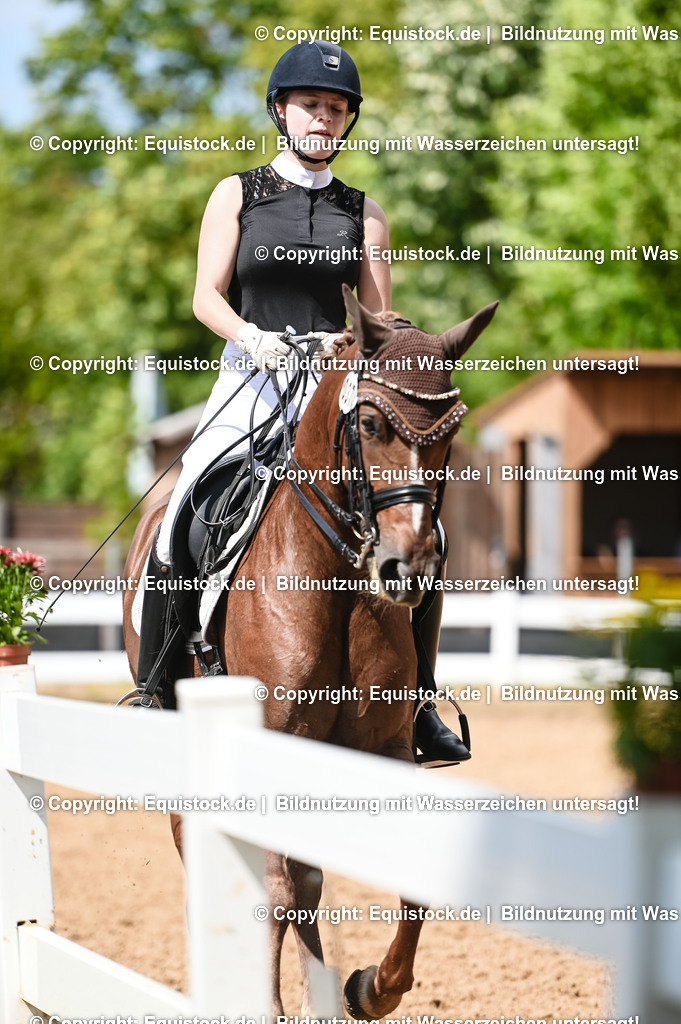20230716_01_Dressurprüfung Kl.M_0332 | equistock