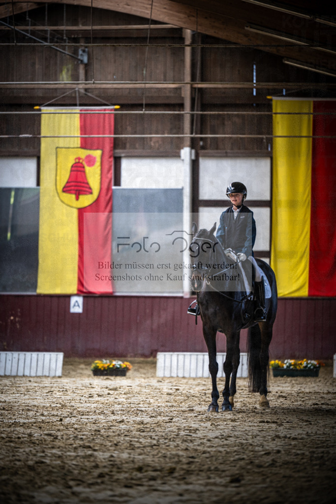 DOS_0307 | Reitturnier Lüdinghausen - Realisiert mit Pictrs.com